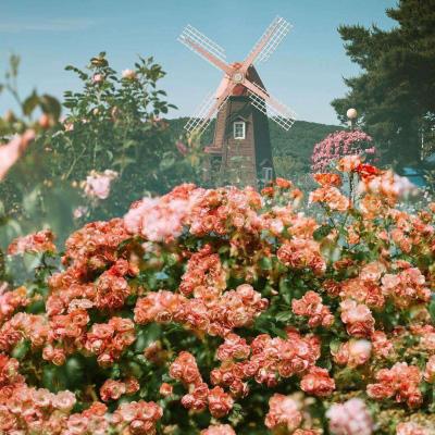 新manbetx-万博全站截图